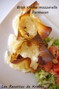 Brick de Crme Mozzarella et Parmesan