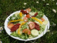 Salade Champtre 