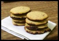 Sabls Choco-Chicore